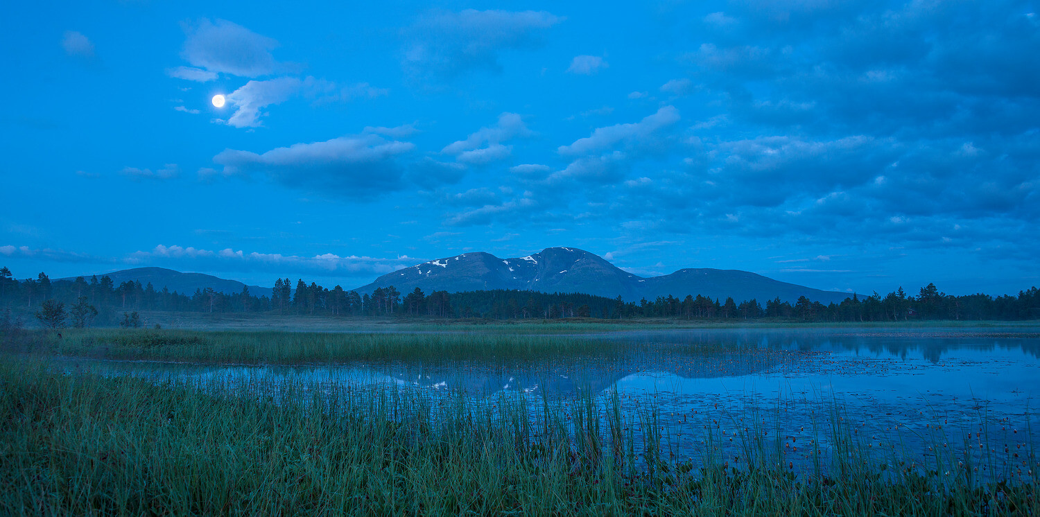 Blå natt på Fursetfjellet