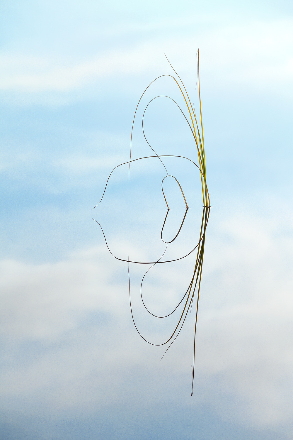Eleganse