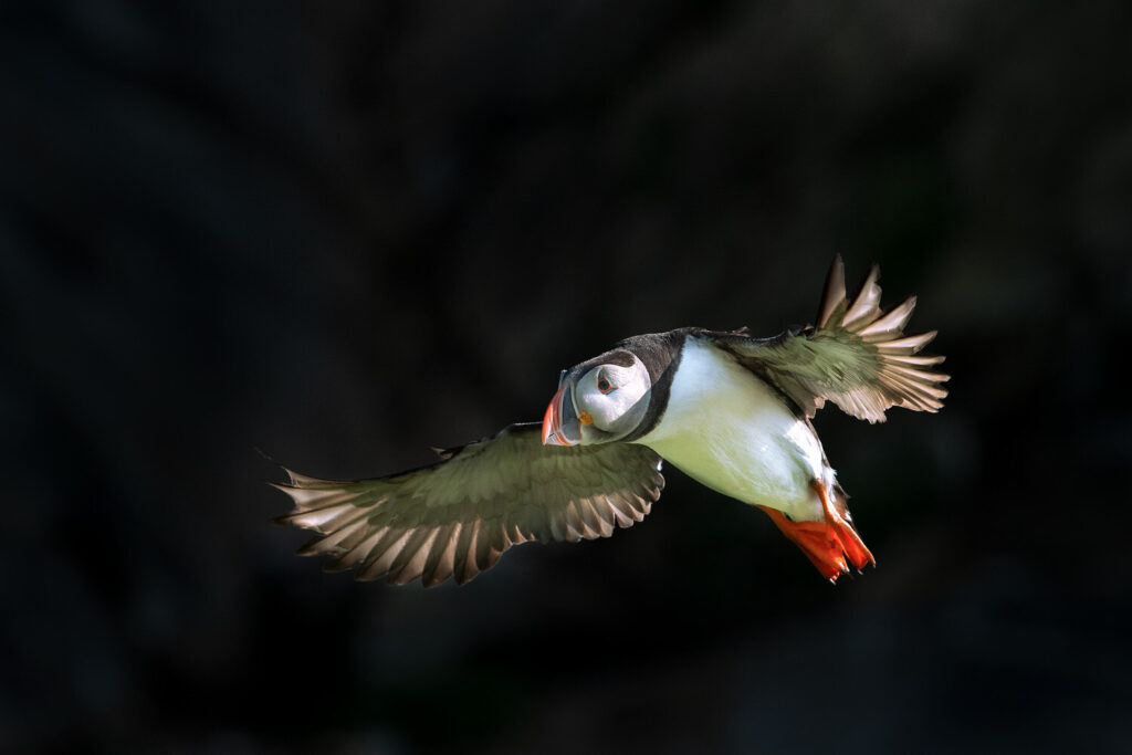 Inn for landing