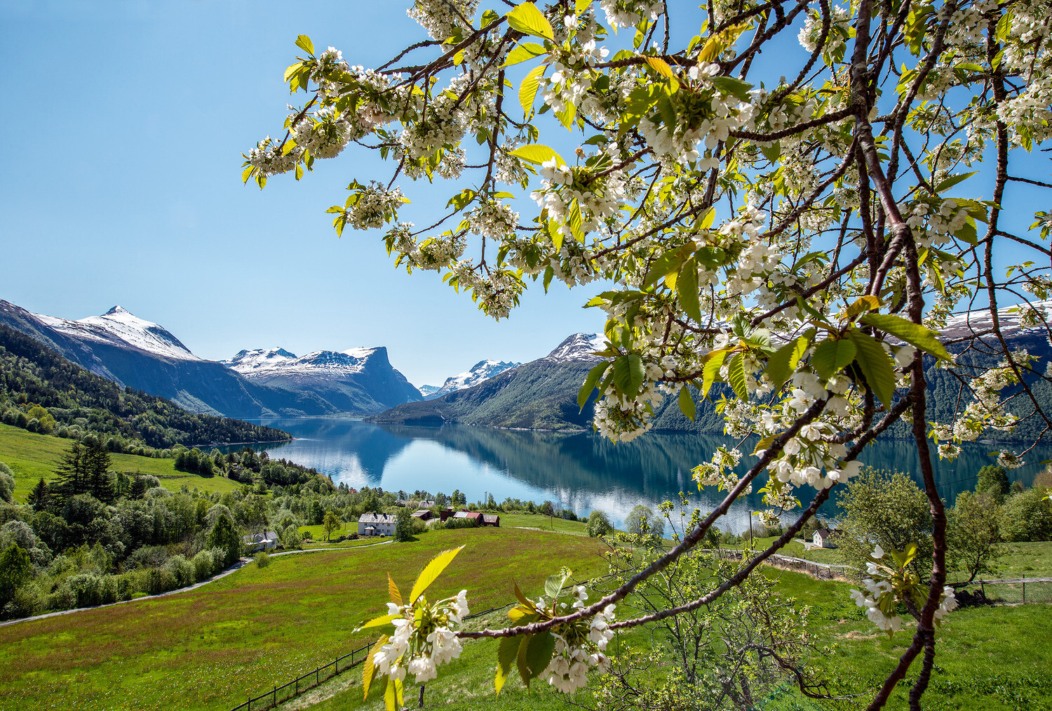 Mai ved Eresfjorden
