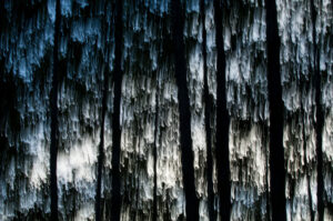 Mystikk