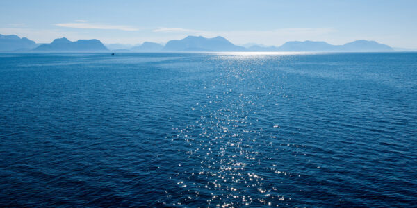 Sommer på Harøyfjorden