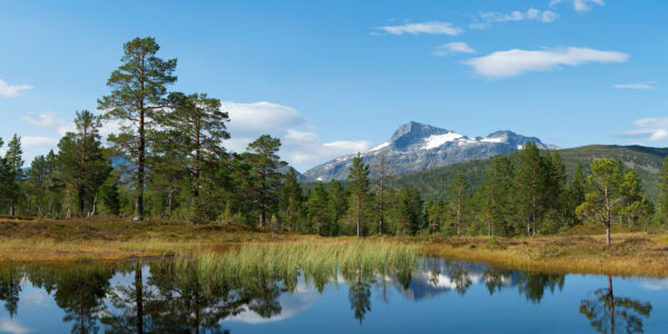 Trollheimen