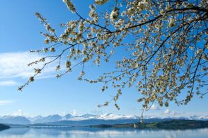 Vår ved Fannefjorden