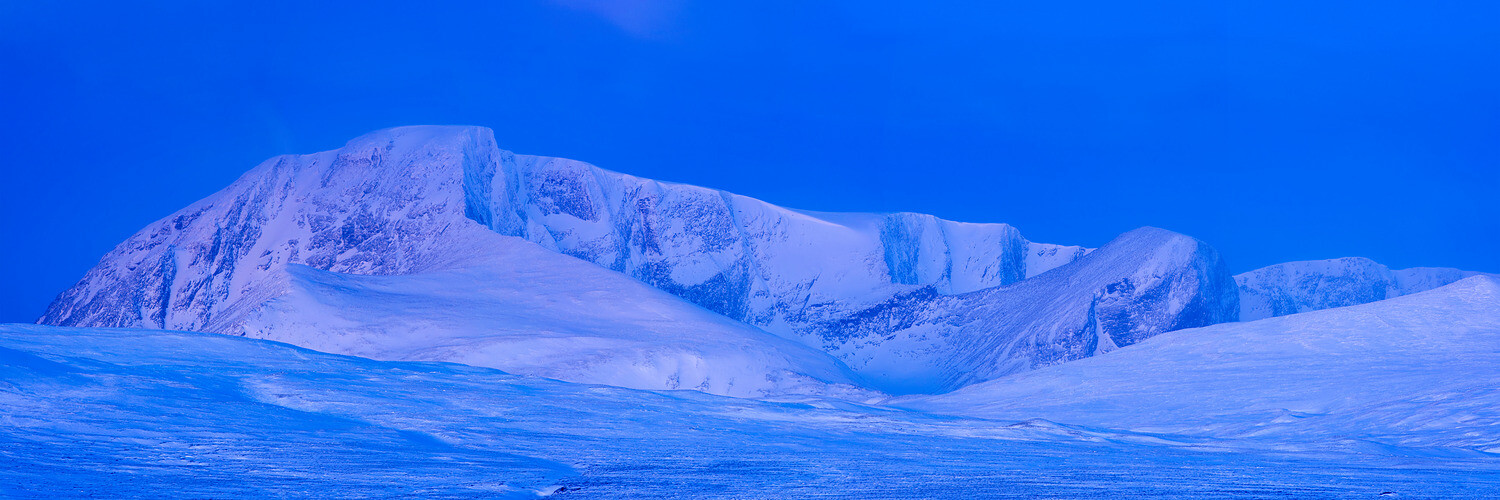 Vintermorgen på Dovrefjell
